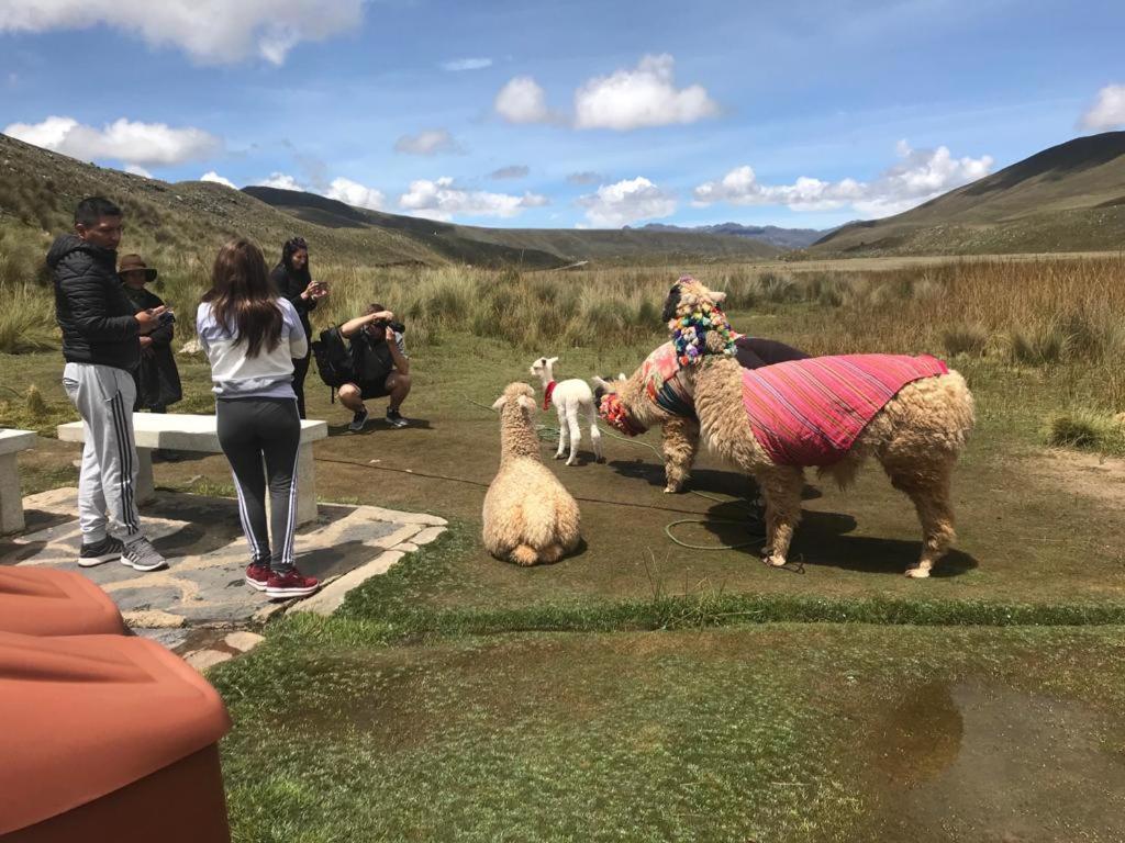 Amazing Huaraz Bed & Breakfast Bagian luar foto