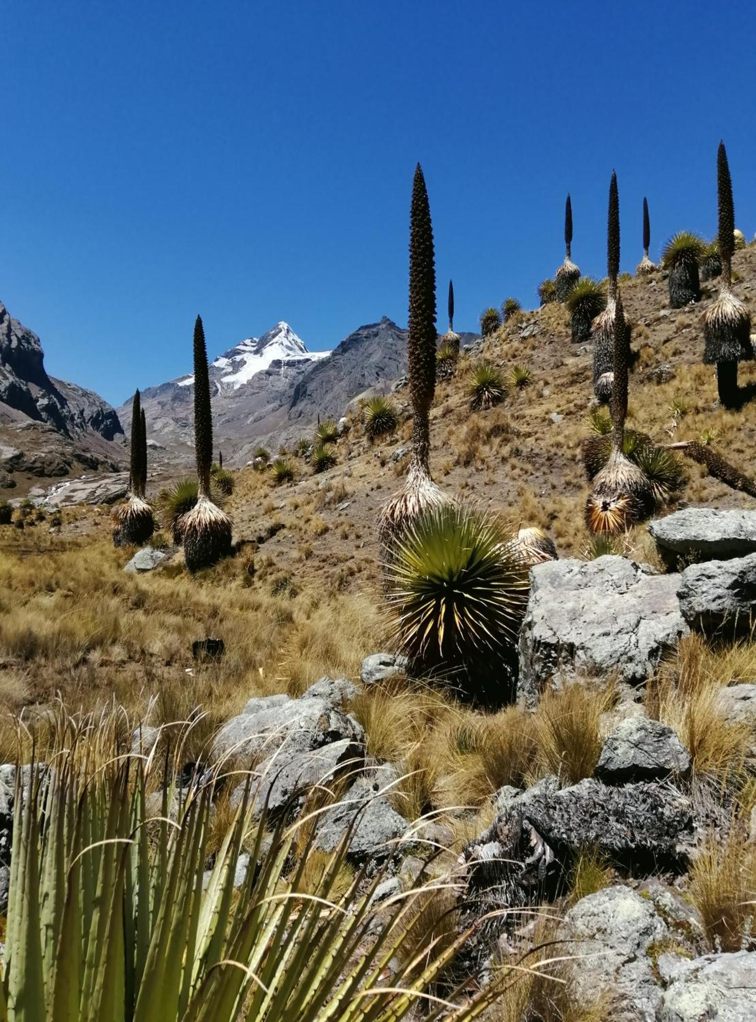 Amazing Huaraz Bed & Breakfast Bagian luar foto