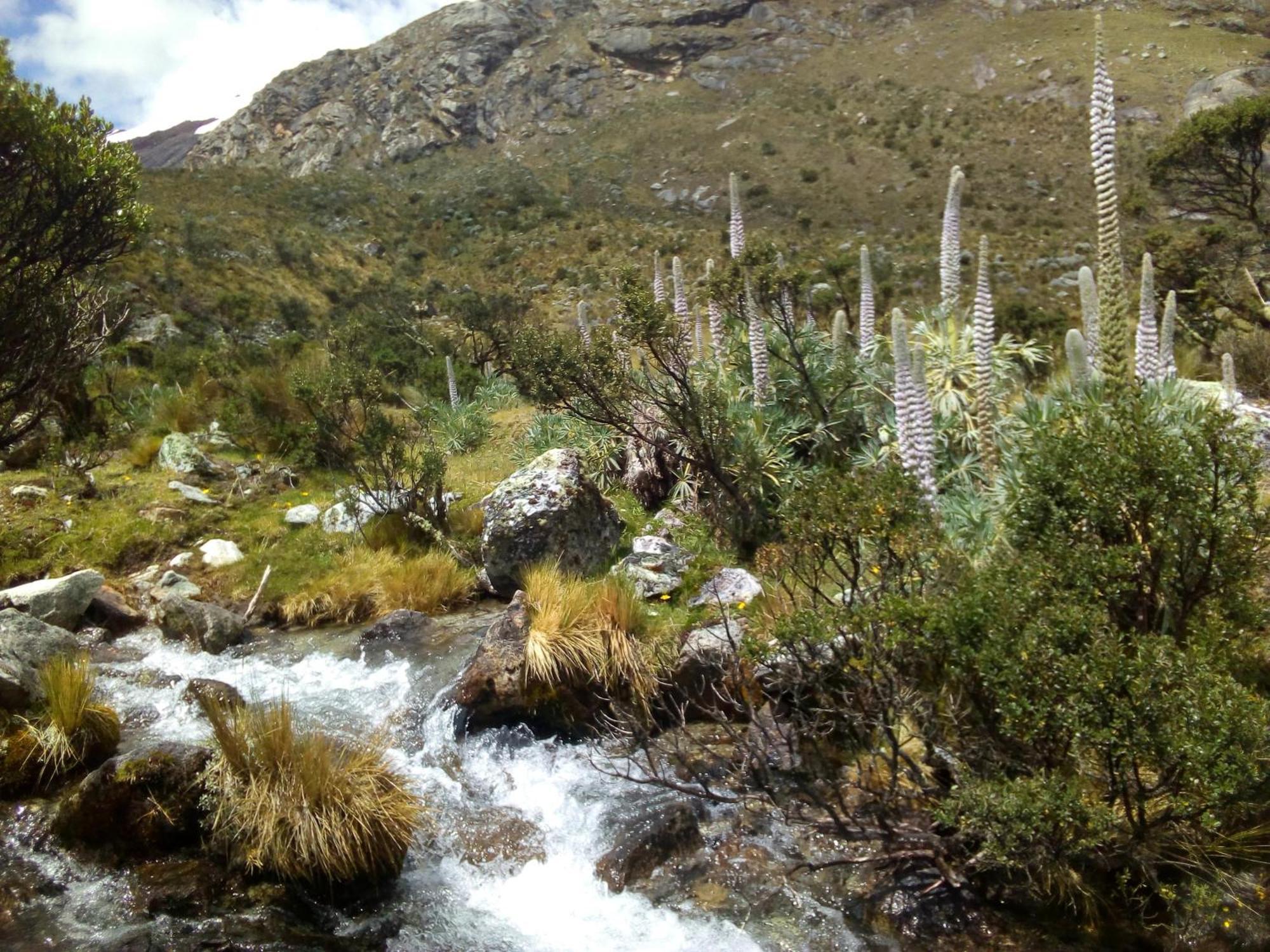 Amazing Huaraz Bed & Breakfast Bagian luar foto
