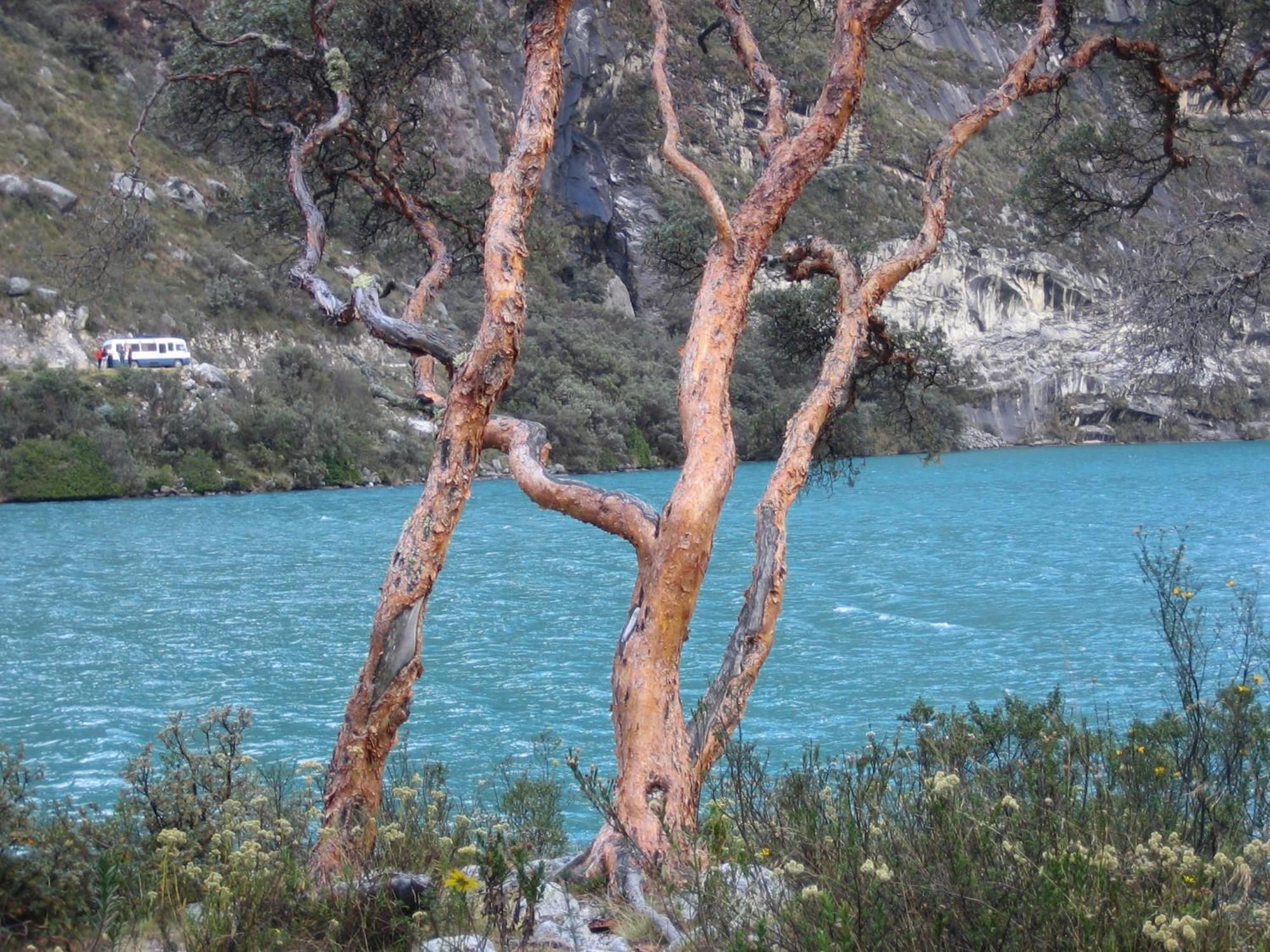 Amazing Huaraz Bed & Breakfast Bagian luar foto
